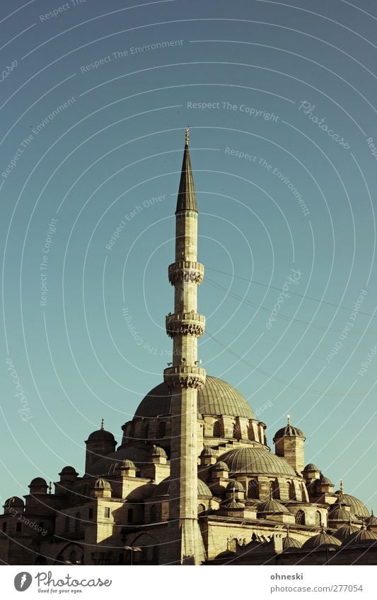 Istanbul in the evening Old town Deserted Manmade structures Architecture Mosque Belief Religion and faith Islam Minaret Colour photo Exterior shot