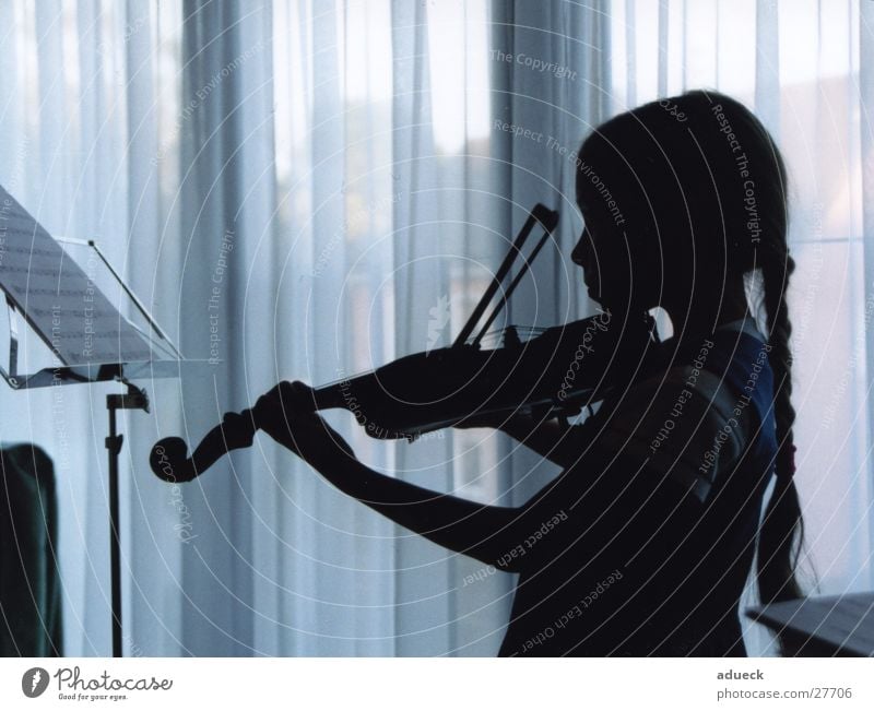 The musician Braids Girl Child Violin Playing Silhouette Curtain Concentrate Concert Music Musical notes Profile Blue Bluish