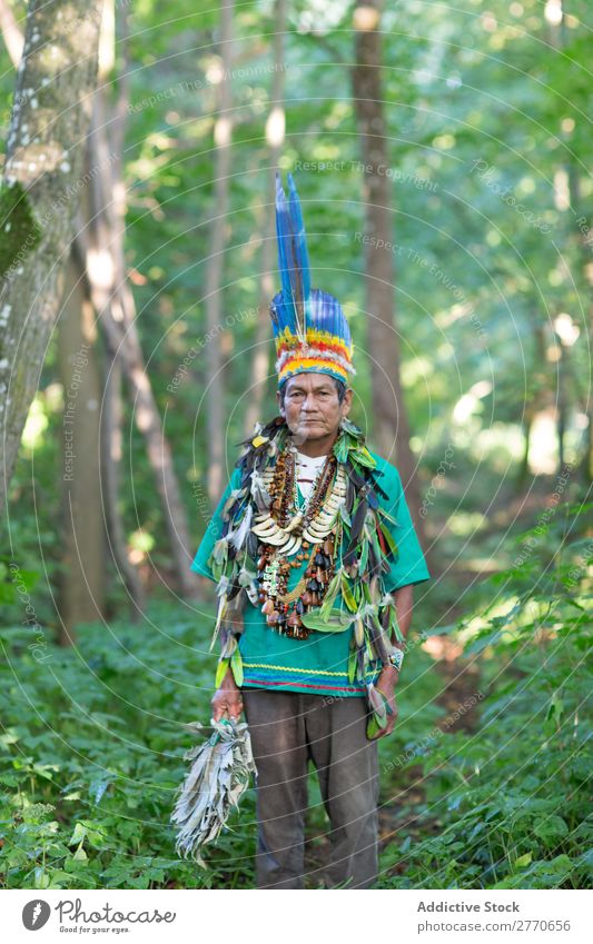 Man in authentic costume in woods Authentic Tropical Costume national Tradition Posture Multicoloured Forest Summer Virgin forest Magic Culture Bright Clothing