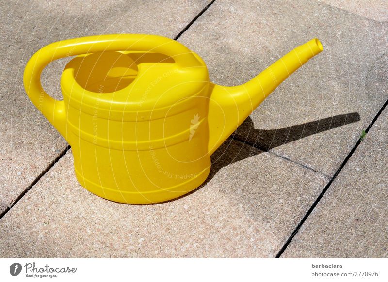water again... Living or residing Gardening Environment Water Terrace Watering can Stone Stand Warmth Yellow Colour Growth Colour photo Exterior shot Pattern