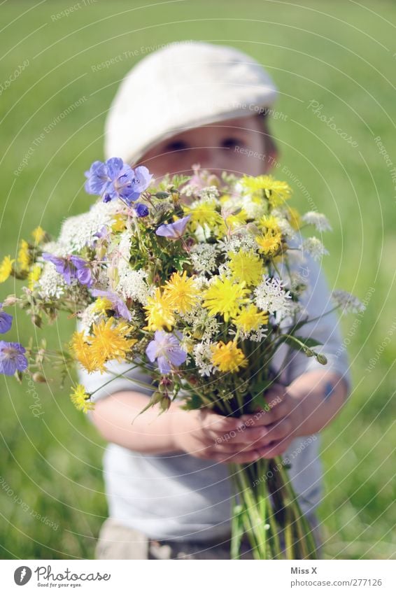For Mommy Human being Masculine Child Toddler Infancy 1 1 - 3 years Plant Spring Summer Beautiful weather Flower Blossom Meadow Blossoming Fragrance Happiness