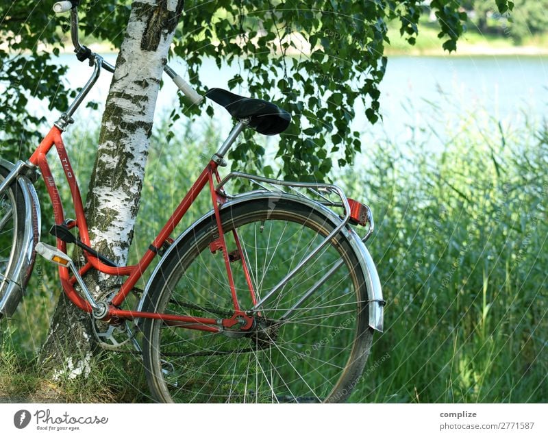 Bicycle stands leaning against birch tree at the lake in Finland Lifestyle Wellness Leisure and hobbies Vacation & Travel Cycling tour Summer Summer vacation