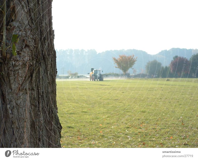 wax Tractor Field Meadow Tree bark Green