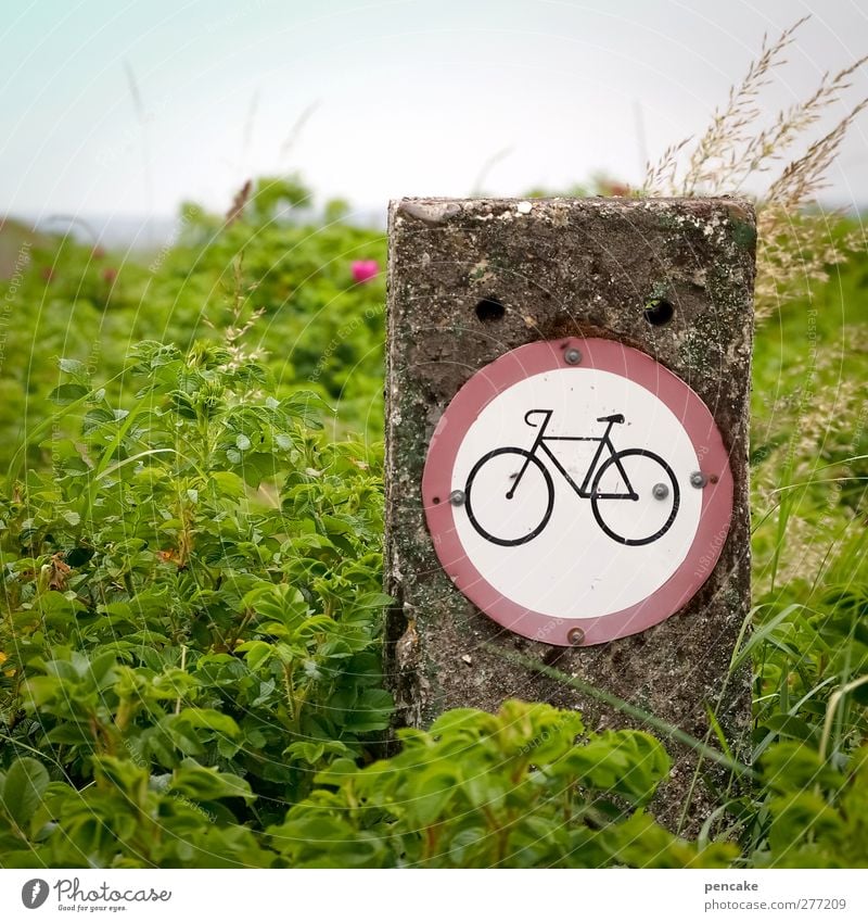 cykler forbudt Cycling Bicycle Nature Landscape Plant Wild plant Fjord Signs and labeling Signage Warning sign Road sign Hiking Green Denmark Jutland Limfjord