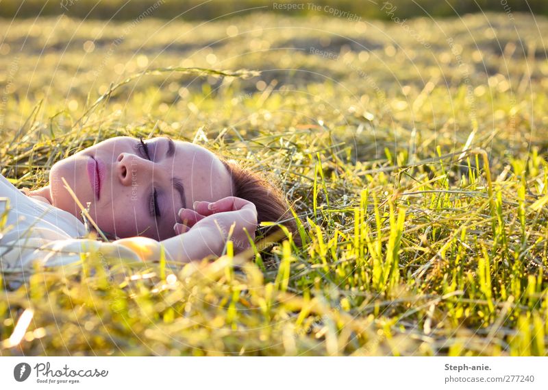 enjoy the summer. Feminine Young woman Youth (Young adults) Face Hand Summer Grass Meadow To enjoy Lie Sleep Dream Happy Natural Positive Yellow Green