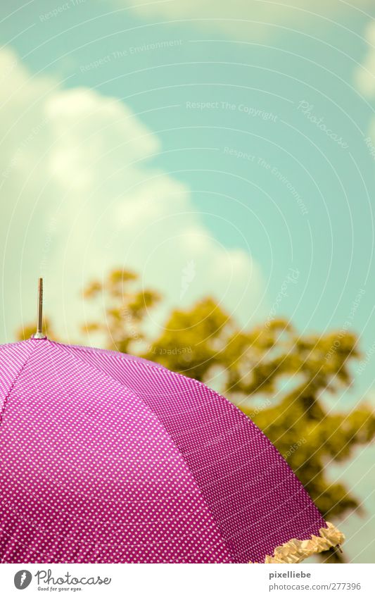 parasol Sky Clouds Sunlight Spring Summer Beautiful weather Warmth Tree Foliage plant Relaxation Friendliness Kitsch Violet Pink Climate Umbrella Point Spotted
