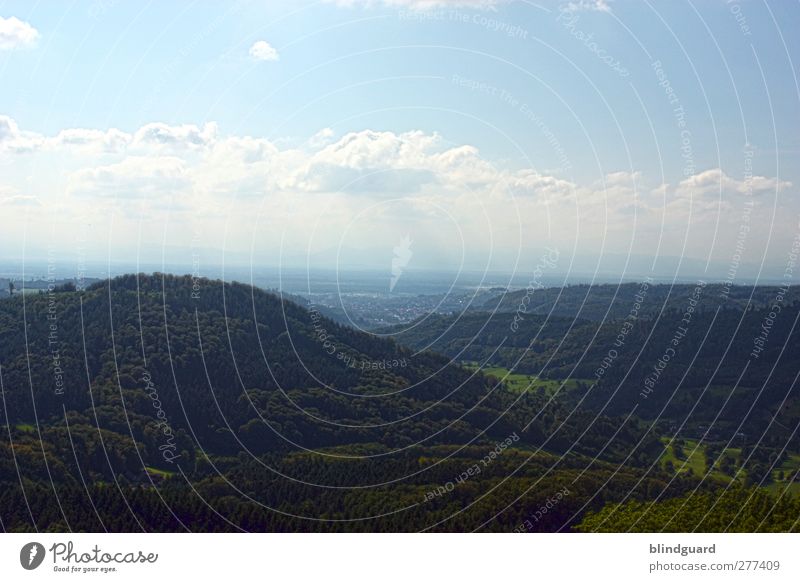 Far far away Nature Landscape Plant Sky Clouds Summer Beautiful weather Wild plant Forest Hill Mountain Breathe Discover Blue Brown Green Black White