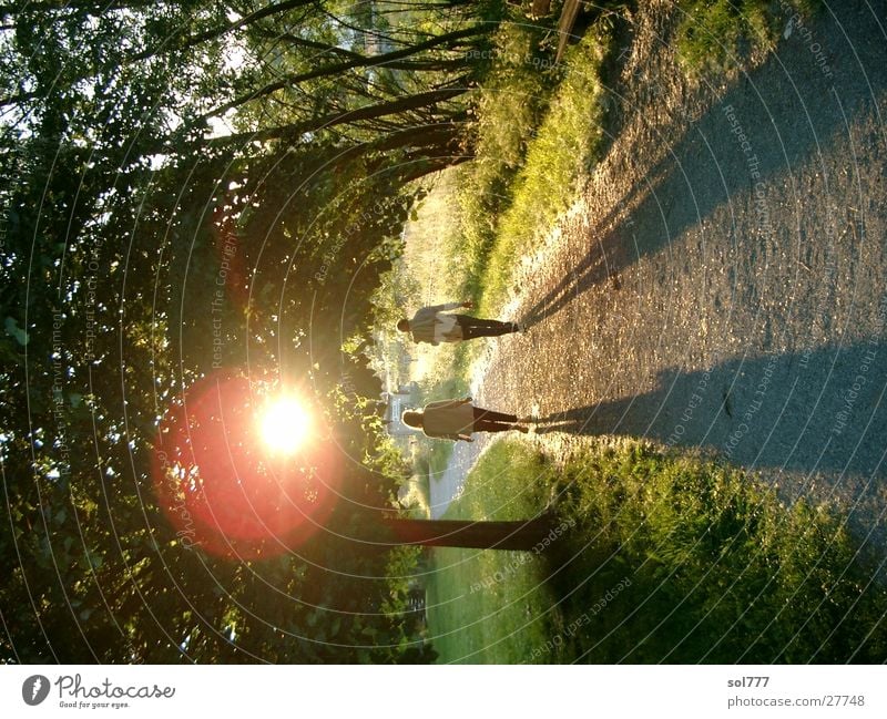 old marriage Sunset Harmonious Married couple Lake Constance Shadow lens flare Lanes & trails Evening In pairs