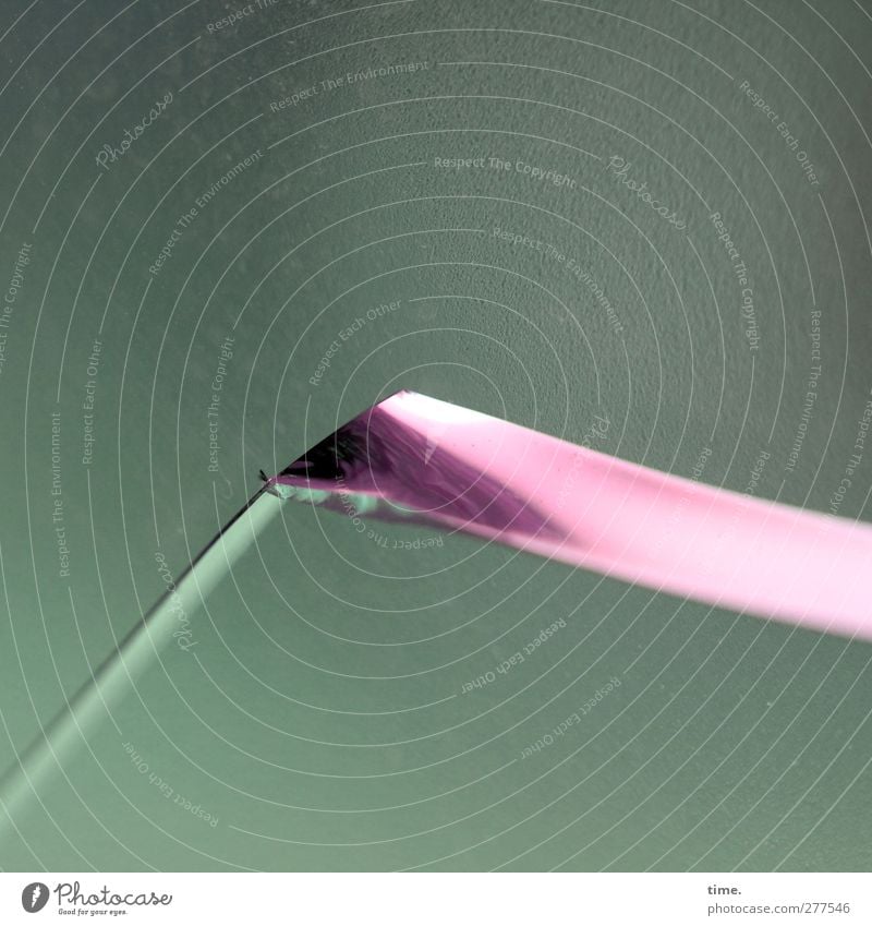 ^ Window Splinter Esthetic Sharp-edged Rebellious Point Green Pink glass break Graphic Colour photo Interior shot Close-up Detail Pattern Structures and shapes