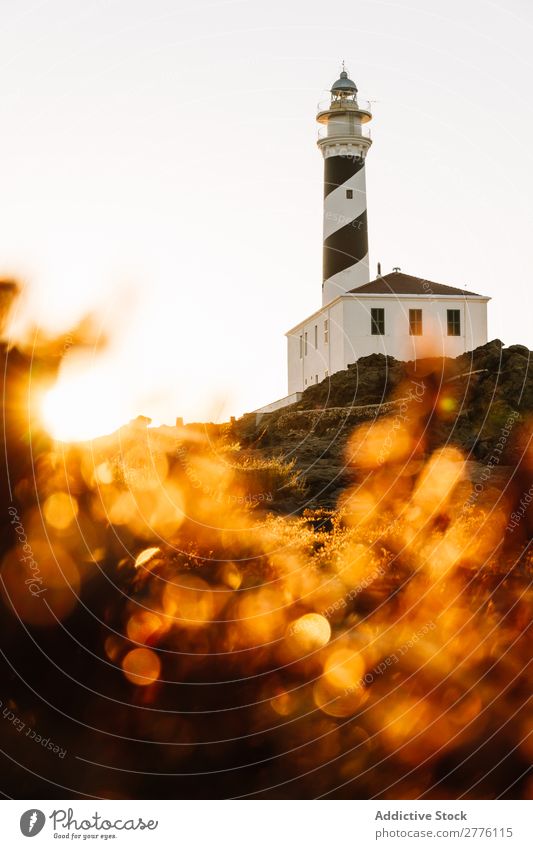 Beacon tower in sunset Lighthouse Hill Sunset Landmark Vacation & Travel Nature Tower Landscape Cliff Tourism Navigation Warning Beautiful coastal Nautical