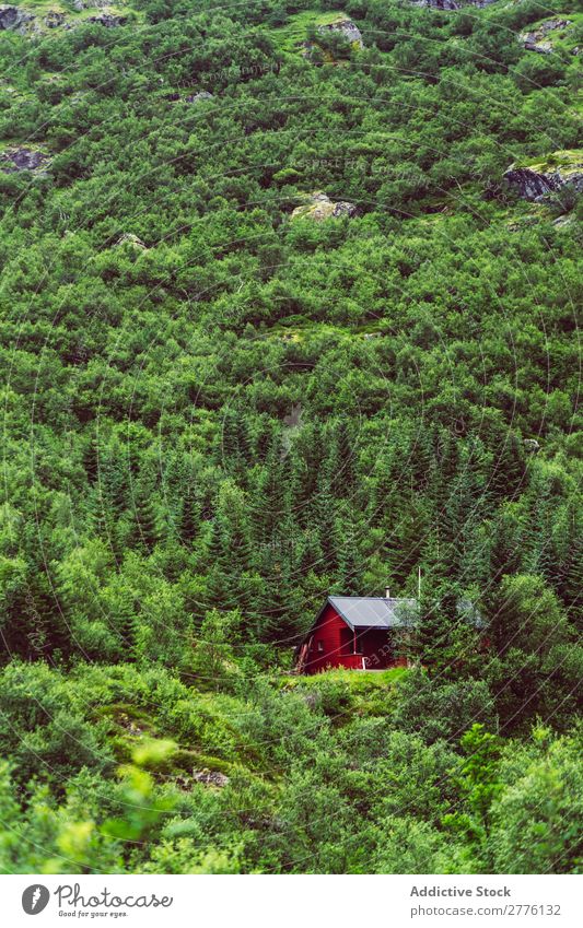 House in woods on mountain slope House (Residential Structure) Forest Mountain Slope Remote Peaceful tranquil Colour Weather Evergreen terrain Landscape scenery
