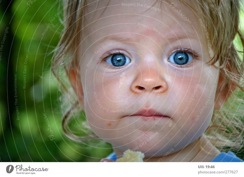 I see you! Playing Human being Toddler Girl Head Face Eyes Ear Nose Mouth Lips 1 1 - 3 years Summer Swimming & Bathing Looking Fresh Healthy Beautiful Curiosity