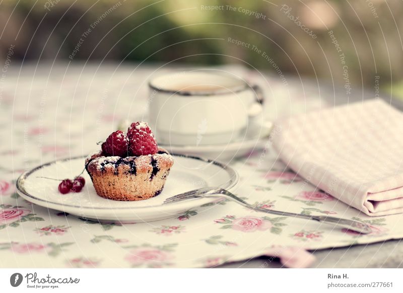 Blueberry Marzipan Fruit Dough Baked goods Cake Muffin Hot drink Coffee Crockery Plate Cup Fork Delicious Sweet Napkin Tablecloth Raspberry Colour photo