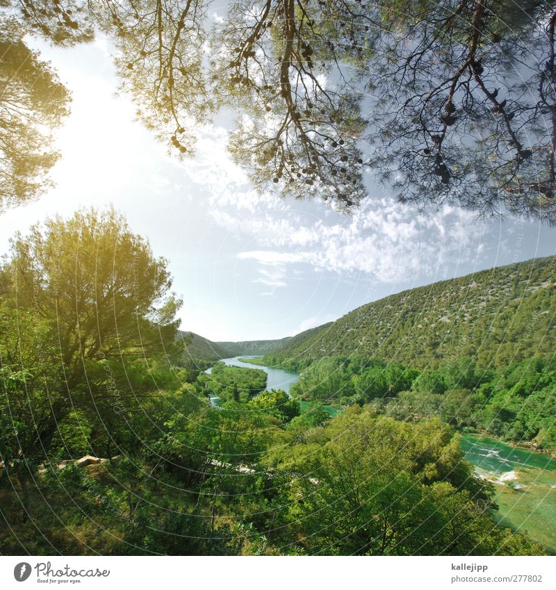 krka Vacation & Travel Tourism Trip Adventure Far-off places Freedom Environment Nature Landscape Plant Animal Water Sunlight River bank Waterfall
