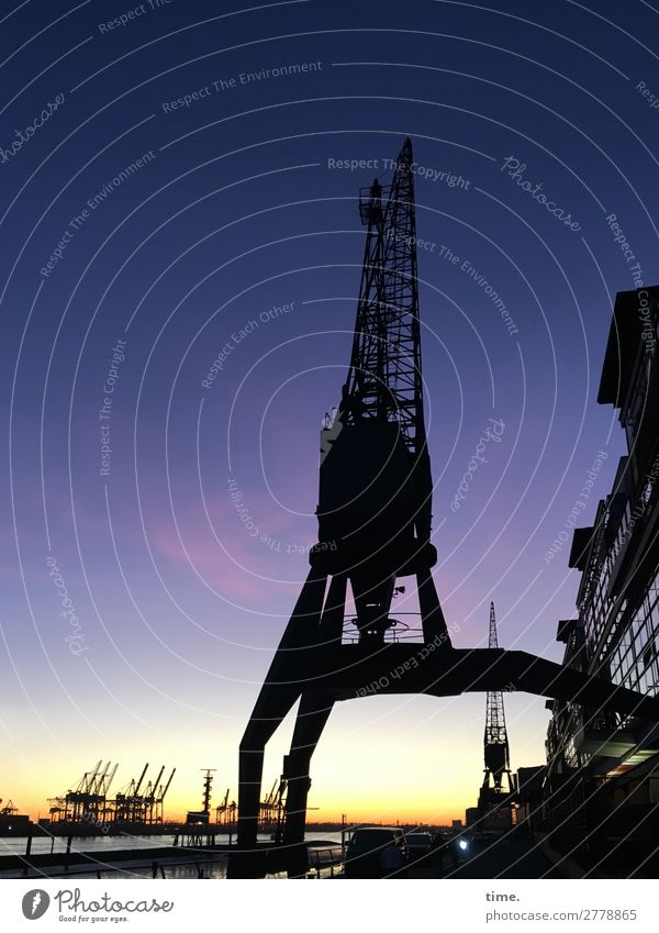 stretch one's legs Workplace Economy Trade Closing time Sky Night sky Horizon Hamburg Port of Hamburg Port City Skyline House (Residential Structure)