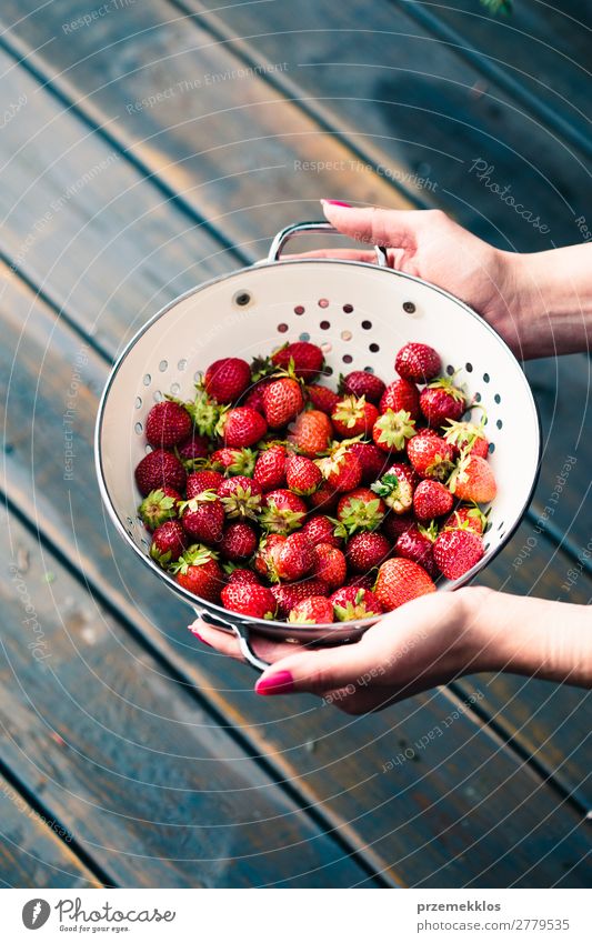 Female hand holding bowl of fresh strawberries Fruit Vegetarian diet Bowl Summer Table Woman Adults Hand Nature Wood Fresh Delicious Natural Juicy Red food