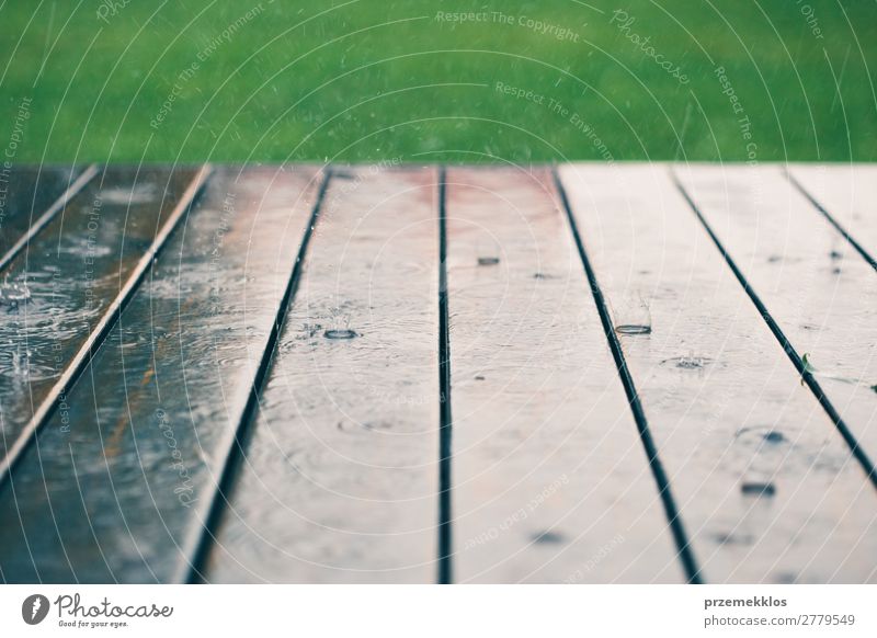 Wood planks while raining in perspective with grass at the top. Summer Weather Rain Drop Wet backdrop background board Plank Veranda raindrop Seasons Splash