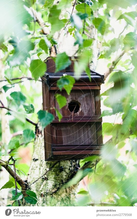 Bird house on a tree among the green leaves in springtime. Save Life Summer House (Residential Structure) Nature Plant Animal Tree Leaf Park Forest Wood Natural