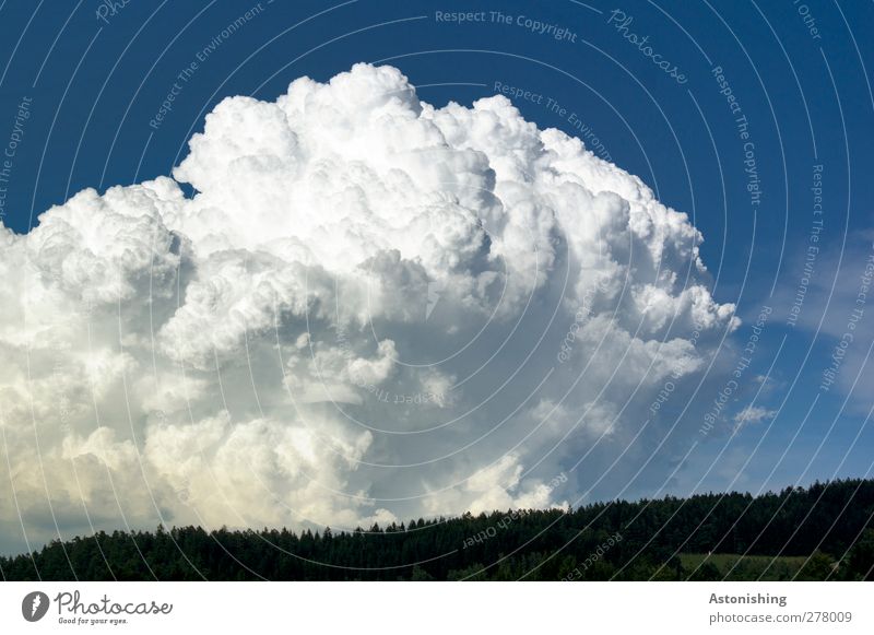massive cloud Environment Nature Landscape Air Sky Clouds Storm clouds Horizon Summer Weather Plant Tree Forest Aggression Dark Hot Blue White Might Dynamics