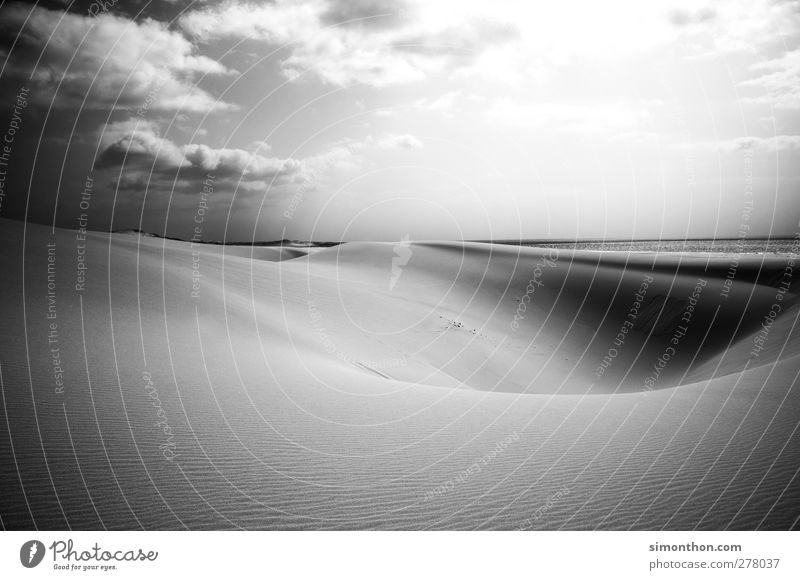 dune Environment Nature Landscape Sand Air Water Clouds Horizon Sun Sunlight Summer Beautiful weather Waves Coast Beach Ocean Island Desert Climate Cabo Verde