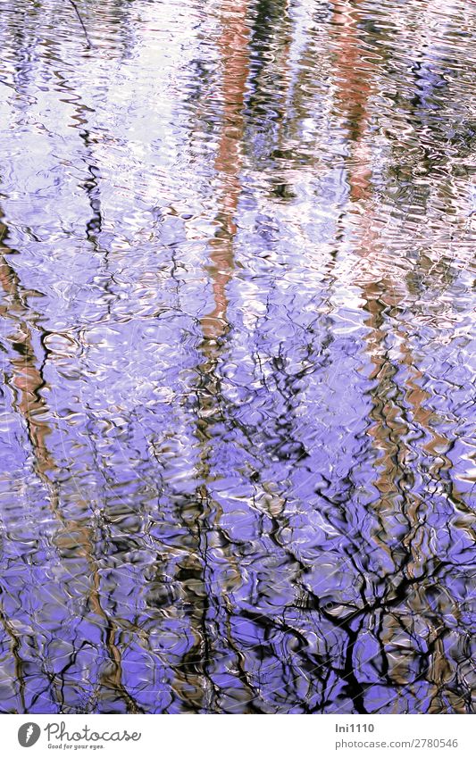 mirroring Nature Spring Beautiful weather Lakeside Pond Brown Violet Black White Abstract Distorted Reflection Surface of water Water Wind Pattern