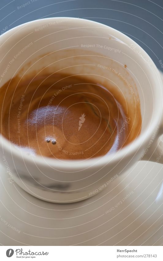 Good morning Espresso Cup Esthetic Delicious Brown White Coffee Coffee cup To have a coffee Creamy Colour photo Exterior shot Copy Space bottom