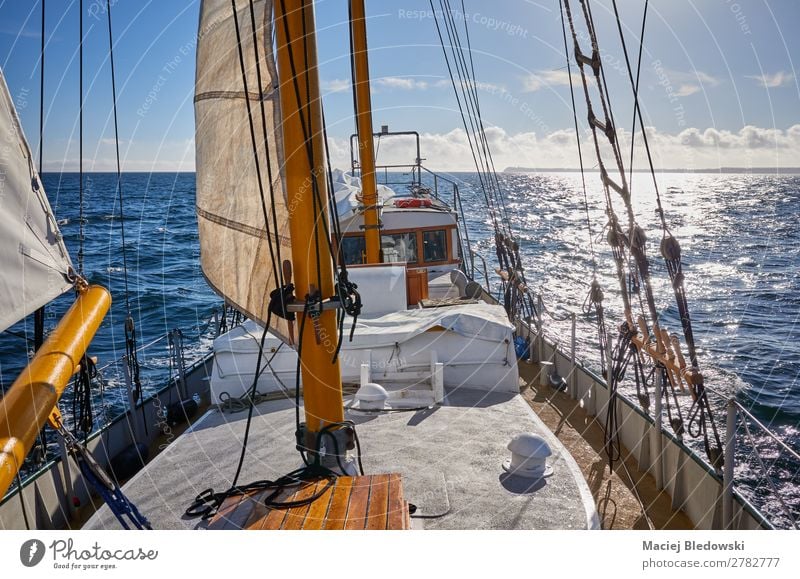 Old schooner sailing against the sun. Lifestyle Vacation & Travel Trip Adventure Freedom Cruise Summer Sun Ocean Waves Water Sky Horizon Beautiful weather