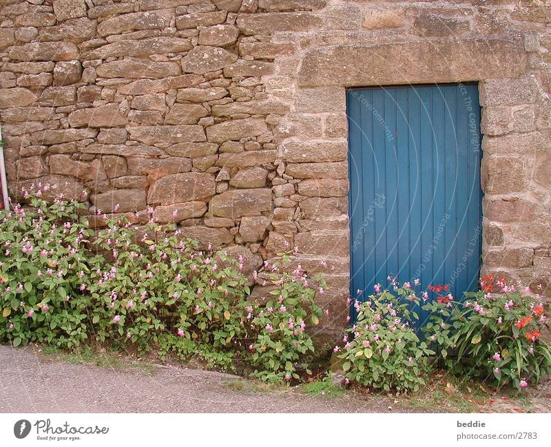 Blue door Brittany Flower Wall (barrier) Door Vacation & Travel Stone