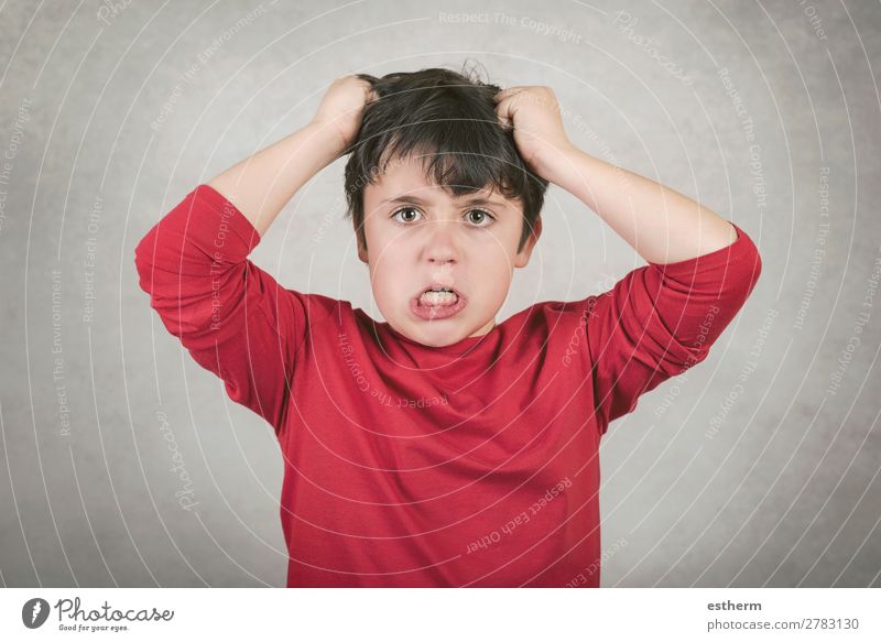 angry boy who pulls his hair against gray background Human being Masculine Child Infancy 1 8 - 13 years To talk Argument Sadness Aggression Crazy Anger Moody