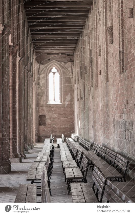 Monastery II Chorin Federal eagle Europe Small Town Church Window Chorin cloister Bench Old Brown Calm Belief Religion and faith Tradition Colour photo