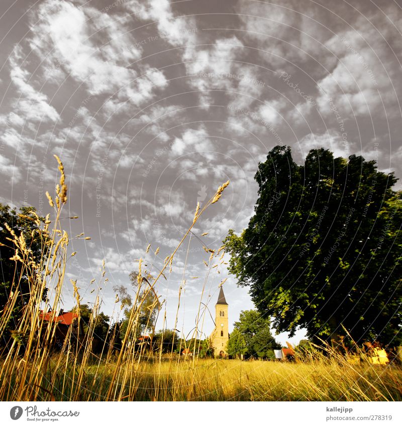 Church in the village Environment Nature Landscape Plant Animal Sky Clouds Tree Grass Village House (Residential Structure) Places Point Church spire