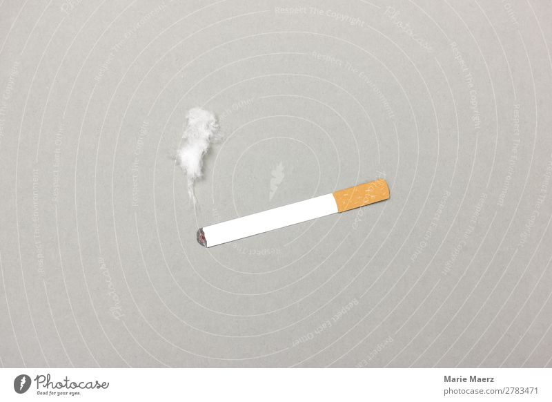 Burning cigarette with smoke Lifestyle Healthy Smoking Breathe Gray Vice Appetite Stress Drug addiction To enjoy Nicotine Smoke Cigarette Addiction Ritual