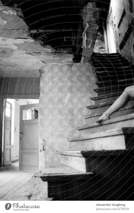 border Black & white photo Interior shot Shallow depth of field Woman's leg 1 Person Individual Only one woman Stairs Derelict Shabby Old Uninhabited