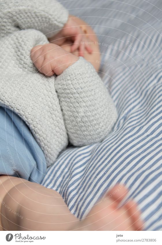 slew Relaxation Baby Infancy Hand Feet 0 - 12 months Sweater Touch Lie Naked Natural Blue Trust Safety (feeling of) Contentment Movement Energy Curiosity Pure