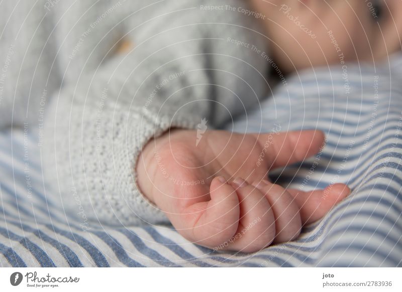 little hand Life Baby Boy (child) Infancy Hand Fingers 0 - 12 months Underwear Touch Lie Sleep Dream Growth Healthy Happy Natural Cute Blue Trust Beginning