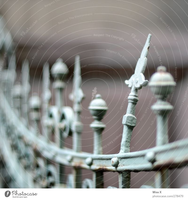 Teeth from the crown Metal Old Broken Point Curved Wrought iron Wrought ironwork Prongs Fence Metalware Colour photo Subdued colour Exterior shot Close-up