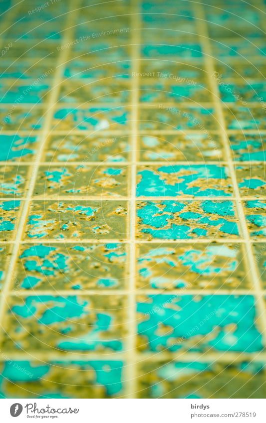 floor design Ornament Authentic Fresh Blue Design Symmetry Floor covering Line Abrasion Perspective Pattern Colour photo Interior shot Abstract