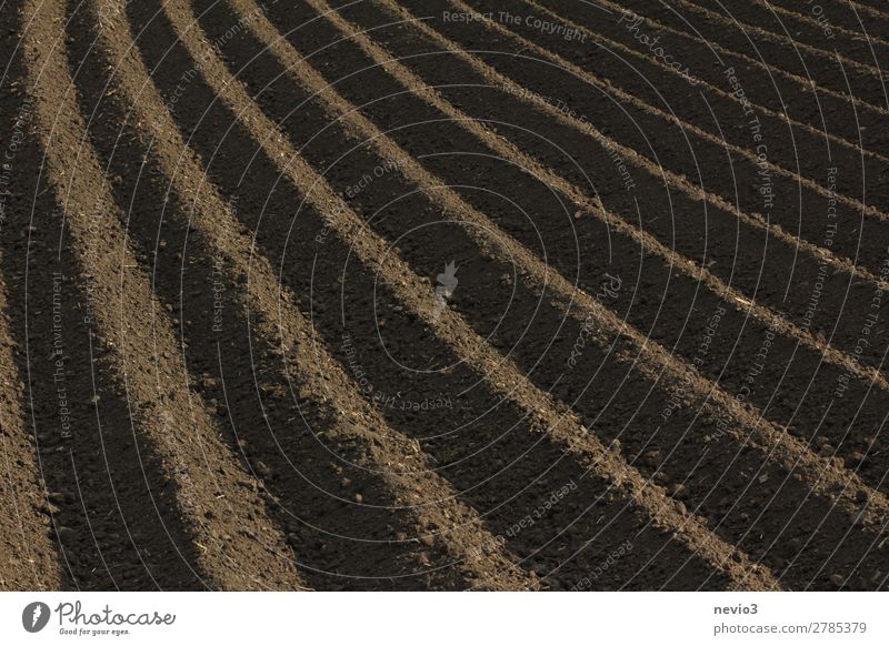 Freshly ploughed field Landscape Field Dirty Natural Beautiful Brown Earth Earthy Parallel Line Picked Plowed Agriculture Symmetry Rural Farm Ecological Harvest