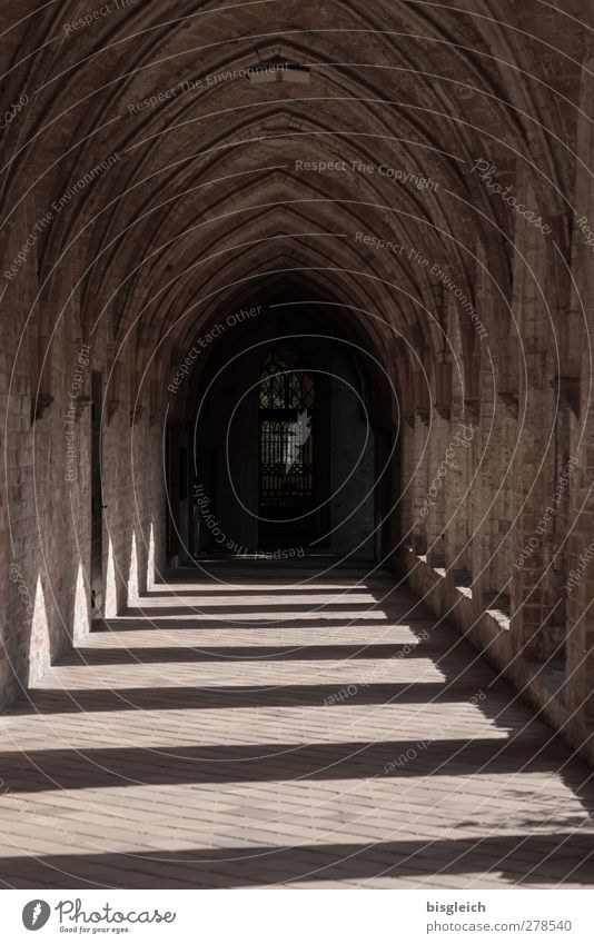 Monastery VIII Chorin Federal eagle Europe Small Town Church Chorin cloister Arcade Old Historic Brown Calm Tradition Colour photo Exterior shot Deserted Day