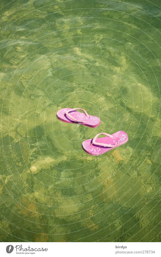pink flip flops floating on the water Flip-flops Water Summer Beautiful weather Ocean Lake Swimming & Bathing Exceptional Funny Green Pink Serene Colour