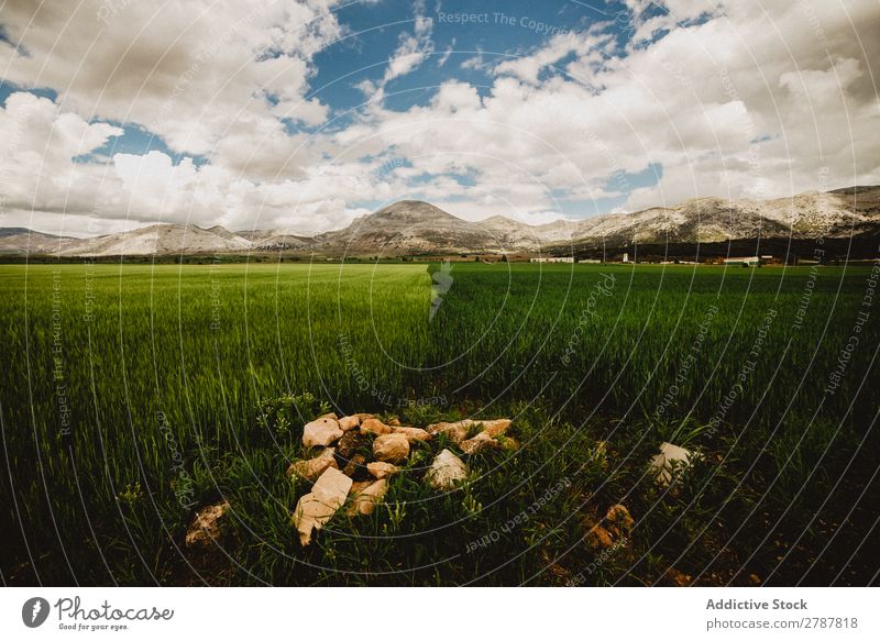 Big field and high hills in cloudy weather - a Royalty Free Stock Photo  from Photocase