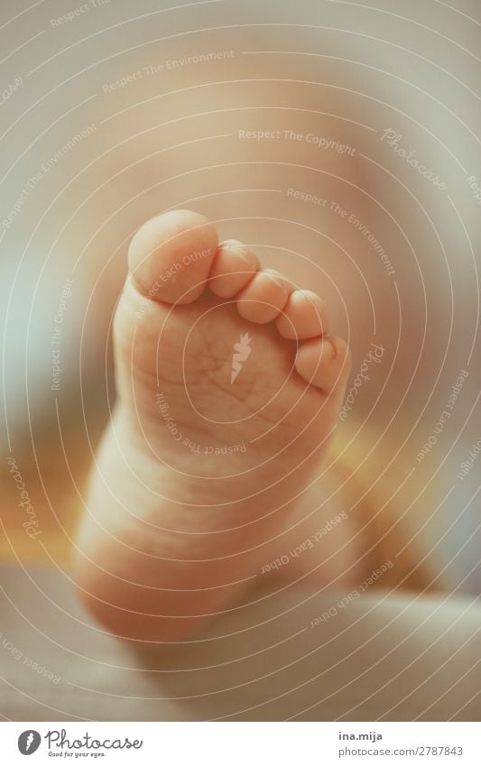 barefoot Human being Child Baby Toddler Girl Boy (child) Family & Relations Infancy Life Feet Children's foot 1 0 - 12 months 1 - 3 years Healthy Happy Infinity
