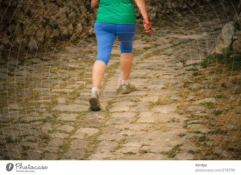 Fit in old age Healthy Overweight Life Jogging Woman Adults 1 Human being 45 - 60 years Lanes & trails Cobbled pathway Movement Going Walking Authentic Athletic