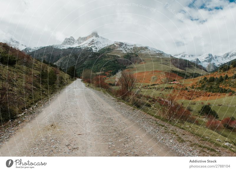 Countryside road on wonderful valley with trees and high hills in cloudy weather Street Landscape Valley Tree Hill Pyrenees Weather Clouds Lanes & trails Wood