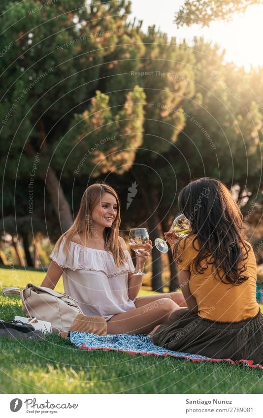 Beautiful women drinking wine in the park. Woman Picnic Friendship Youth (Young adults) Park Happy Wine Glass Drinking Toast clinking Guitar Summer Human being