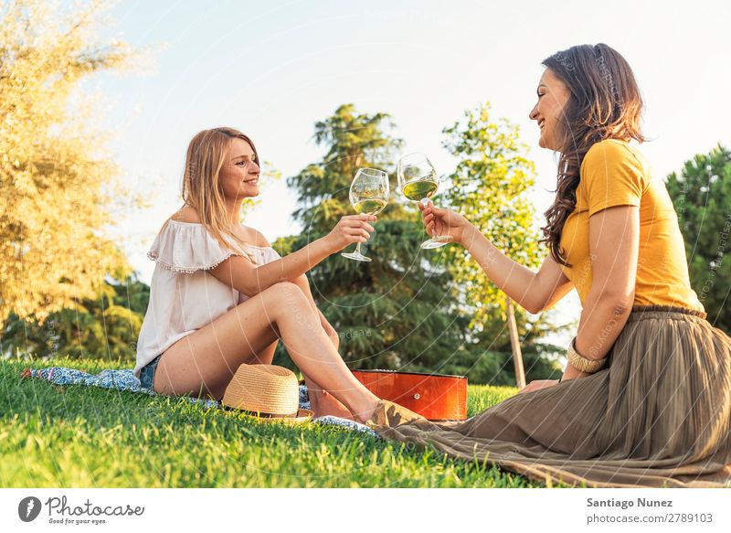 Beautiful women drinking wine in the park. Woman Picnic Friendship Youth (Young adults) Park Happy Wine Glass Drinking Toast clinking Guitar Summer Human being