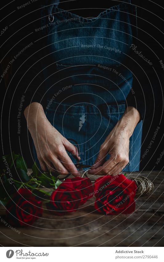 Unrecognizable woman making a bouquet of red roses Hand Rose Flower Woman Background picture Dark Card Blossom leave Red valentine Anniversary