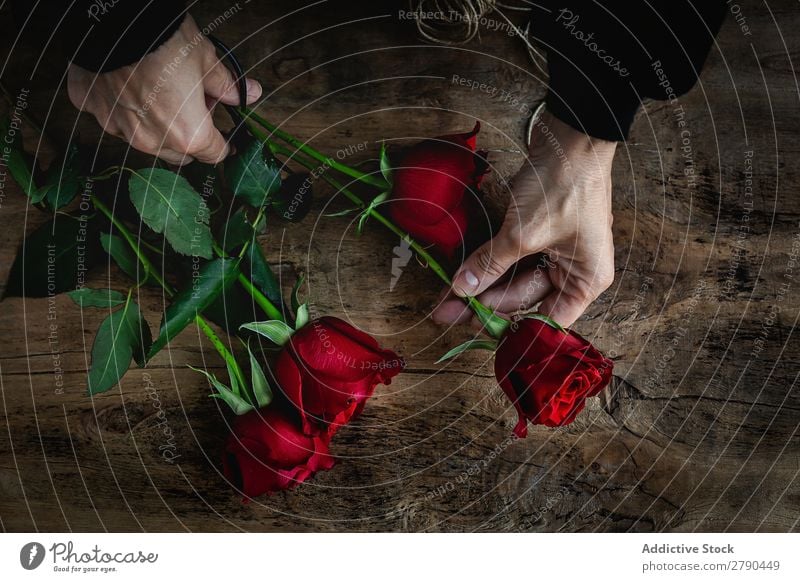 Unrecognizable woman making a bouquet of red roses Hand Rose Flower Woman Background picture Dark Card Blossom leave Red valentine Anniversary