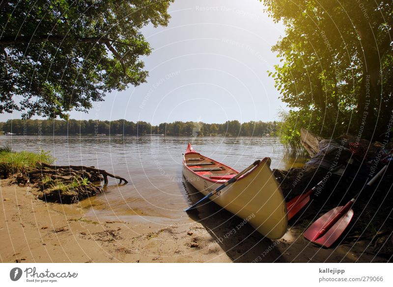 aground Lifestyle Leisure and hobbies Environment Nature Landscape Water Cloudless sky Horizon Summer Beautiful weather Tree Lake River Clean Calm Canoe