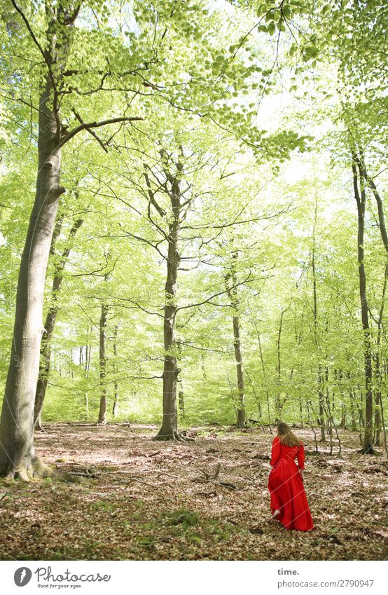 coming soon, springtime Feminine Woman Adults 1 Human being Spring Beautiful weather Tree Forest Dress Brunette Long-haired Movement Going To enjoy Hiking